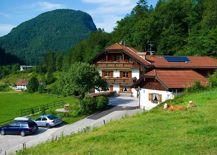 Ferienwohnungen Vogelrast